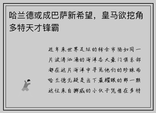 哈兰德或成巴萨新希望，皇马欲挖角多特天才锋霸
