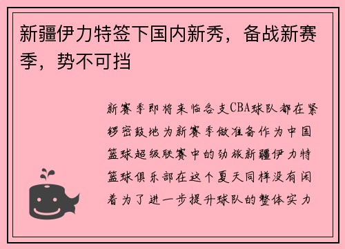 新疆伊力特签下国内新秀，备战新赛季，势不可挡